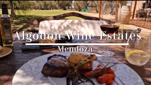 Algodon Wine Estates