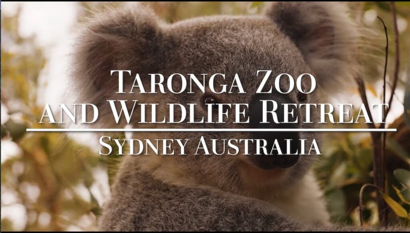 Taronga Wildlife Retreat Sydney Australia