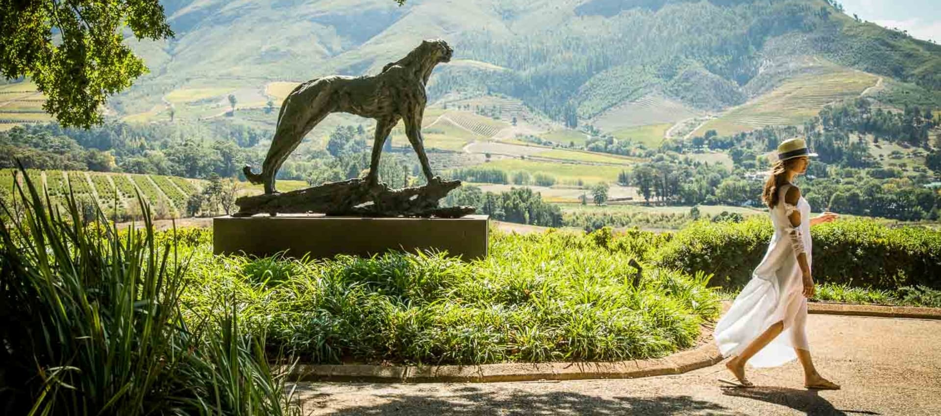 Stellenbosch South Africa: One of the World’s Great Wine Destinations