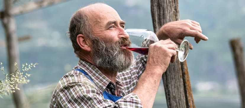 The Alpine Soul of Merano Wine Culture